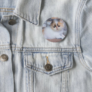 Cutest Baby Animals Calico Persian Kitten 6 Cm Round Badge
