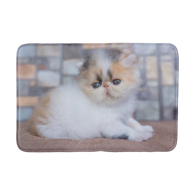 Cutest Baby Animals | Calico Persian Kitten Bath Mat (Front)