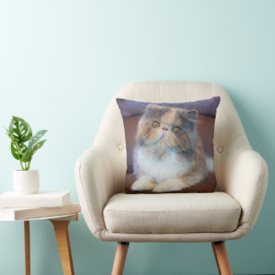 Cutest Baby Animals Calico Persian Kitten Cushion