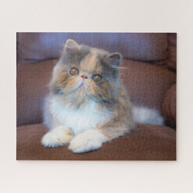 Cutest Baby Animals | Calico Persian Kitten Jigsaw Puzzle (Horizontal)