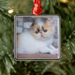 Cutest Baby Animals Calico Persian Kitten Metal Tree Decoration