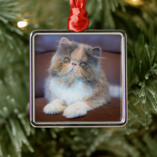 Cutest Baby Animals Calico Persian Kitten Metal Tree Decoration