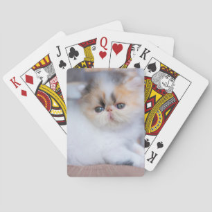 Cutest Baby Animals Calico Persian Kitten Playing Cards