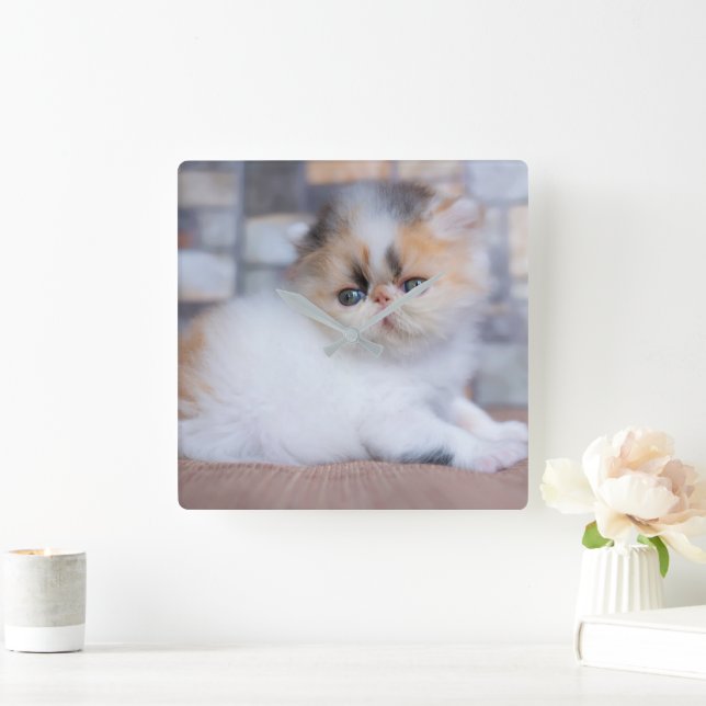Cutest Baby Animals | Calico Persian Kitten Square Wall Clock (Home)