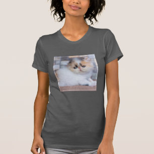 Cutest Baby Animals Calico Persian Kitten T-Shirt