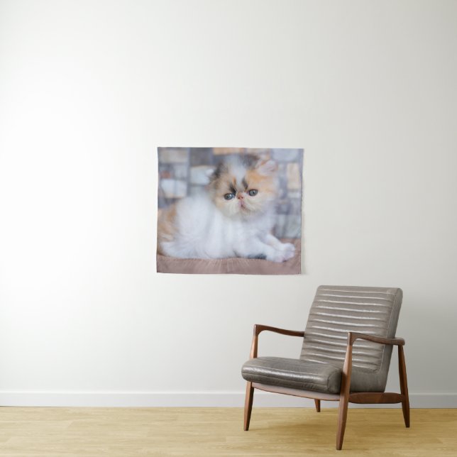 Cutest Baby Animals | Calico Persian Kitten Tapestry (In Situ (Horizontal))