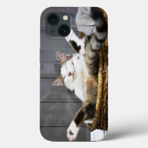 Cutest Baby Animals Cat in Bed iPhone 13 Case
