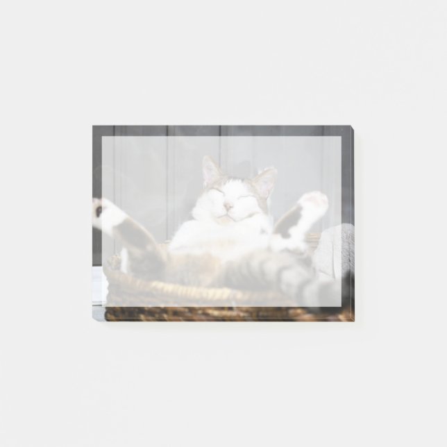 Cutest Baby Animals | Cat in Bed Post-it Notes (Front)