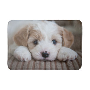 Cutest Baby Animals Cavashon Puppy Bath Mat