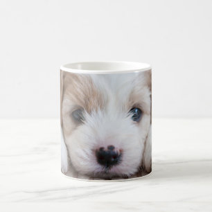 Cutest Baby Animals   Cavashon Puppy Coffee Mug