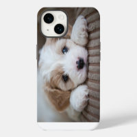 Cutest Baby Animals | Cavashon Puppy