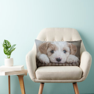 Cutest Baby Animals   Cavashon Puppy Lumbar Cushion