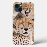 Cutest Baby Animals | Cheetah Cat & Cub