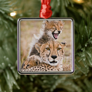 Cutest Baby Animals Cheetah Cat & Cub Metal Tree Decoration