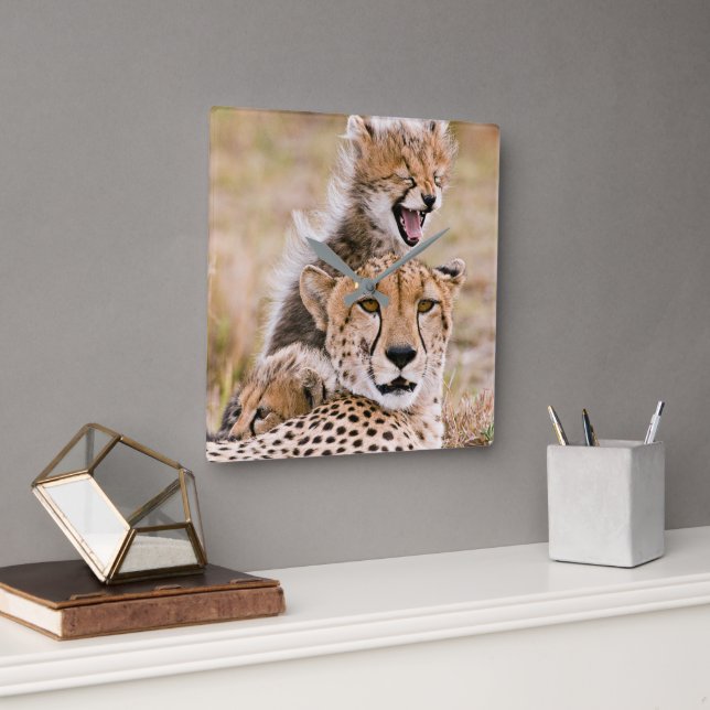 Cutest Baby Animals | Cheetah Cat & Cub Square Wall Clock (Office)