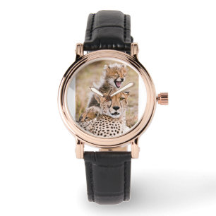Cutest Baby Animals   Cheetah Cat & Cub Watch