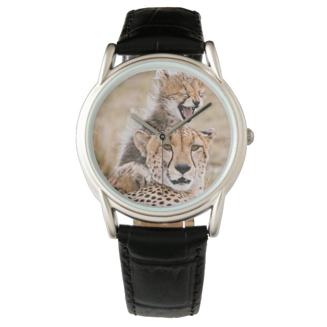 Cutest Baby Animals | Cheetah Cat & Cub Watch (Front)
