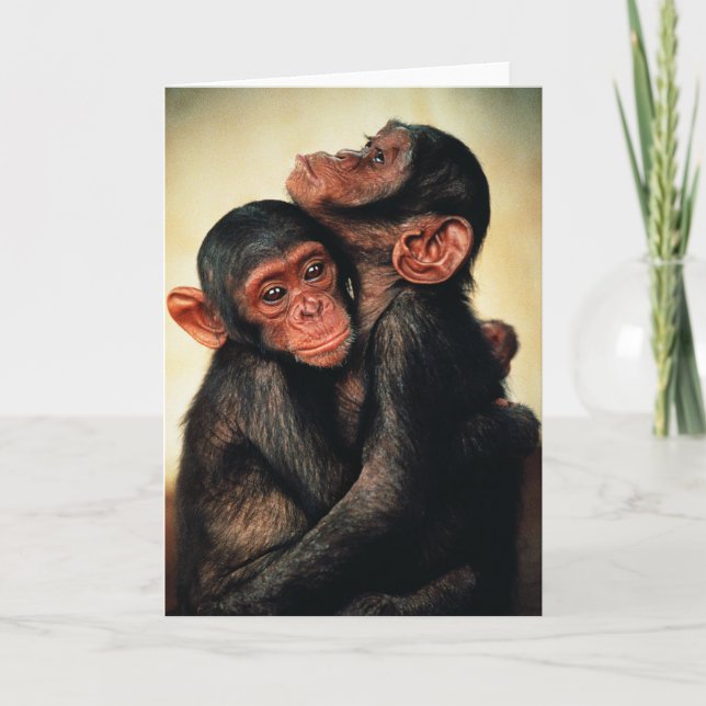 Cutest Baby Animals | Chimpanzee Hug Card (Front)