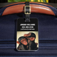 Cutest Baby Animals | Chimpanzee Hug