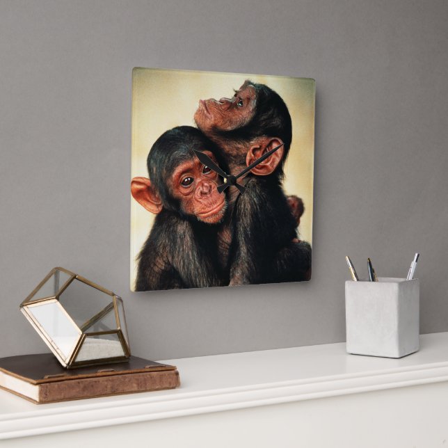 Cutest Baby Animals | Chimpanzee Hug Square Wall Clock (Office)