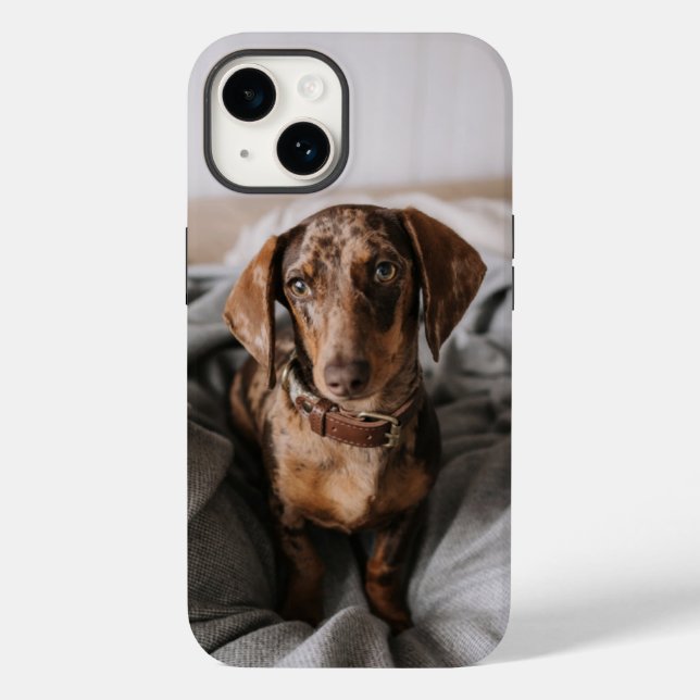 Cutest Baby Animals | Chocolate Dapple Dachshund Case-Mate iPhone Case (Back)