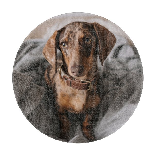 Cutest Baby Animals | Chocolate Dapple Dachshund Cutting Board (Front)