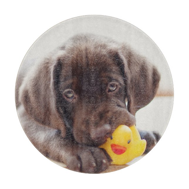 Cutest Baby Animals | Chocolate Labrador Puppy Cutting Board (Front)
