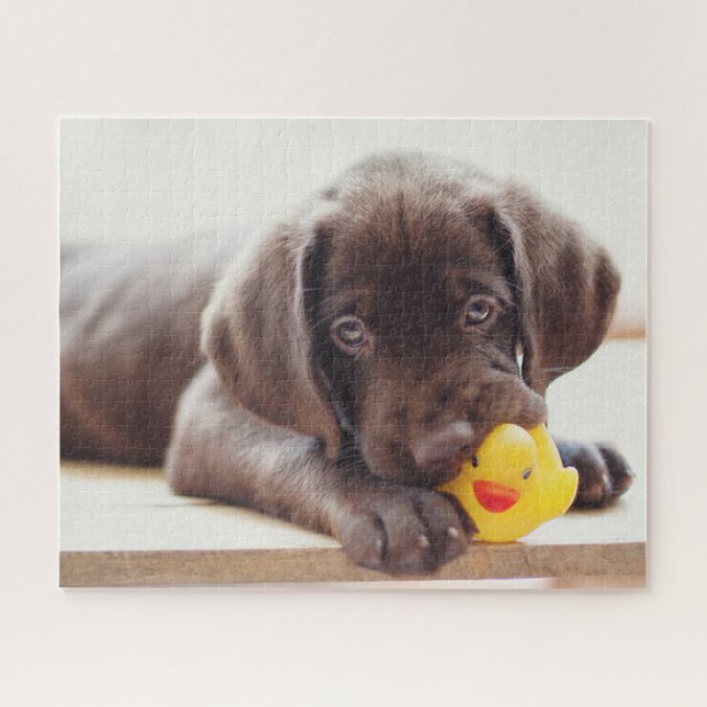 Cutest Baby Animals | Chocolate Labrador Puppy Jigsaw Puzzle (Horizontal)