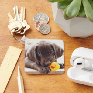 Cutest Baby Animals   Chocolate Labrador Puppy Key Ring
