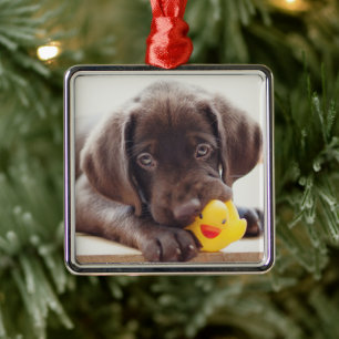 Cutest Baby Animals   Chocolate Labrador Puppy Metal Tree Decoration