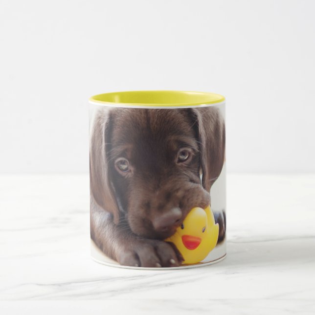 Cutest Baby Animals | Chocolate Labrador Puppy Mug (Center)