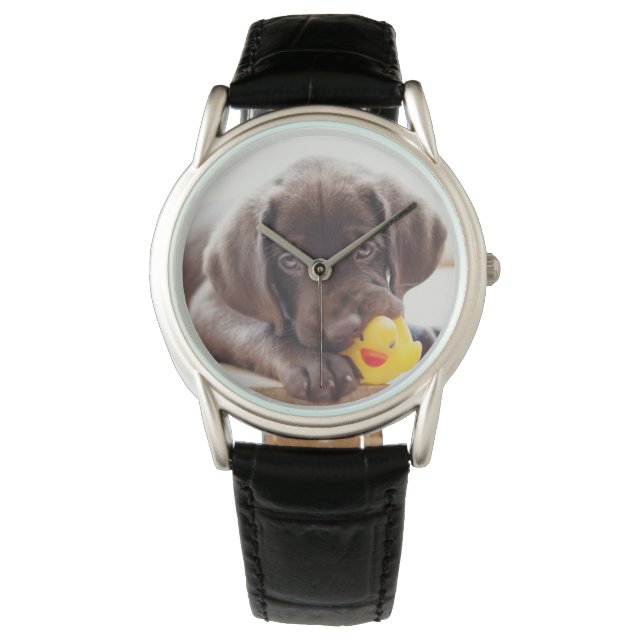 Cutest Baby Animals | Chocolate Labrador Puppy Watch (Front)