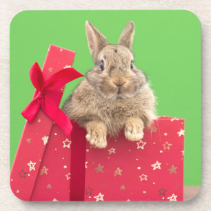 Cutest Baby Animals Christmas Holiday Bunny Coaster