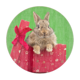 Cutest Baby Animals Christmas Holiday Bunny Cutting Board