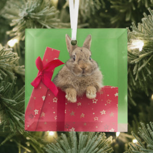 Cutest Baby Animals   Christmas Holiday Bunny Glass Tree Decoration