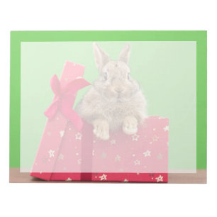 Cutest Baby Animals Christmas Holiday Bunny Notepad