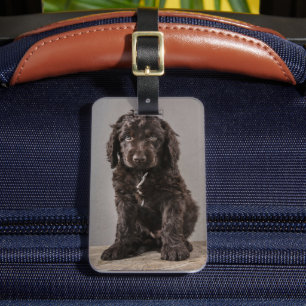 Cutest Baby Animals   Cockapoo Puppy Luggage Tag