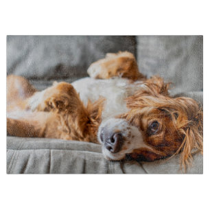Cutest Baby Animals Cocker Spaniel Cutting Board