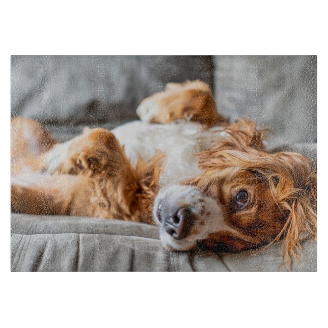 Cutest Baby Animals | Cocker Spaniel Cutting Board (Front)