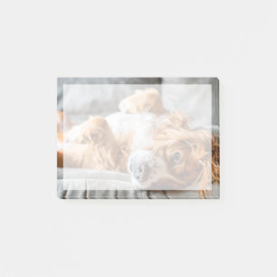 Cutest Baby Animals   Cocker Spaniel Post-it Notes