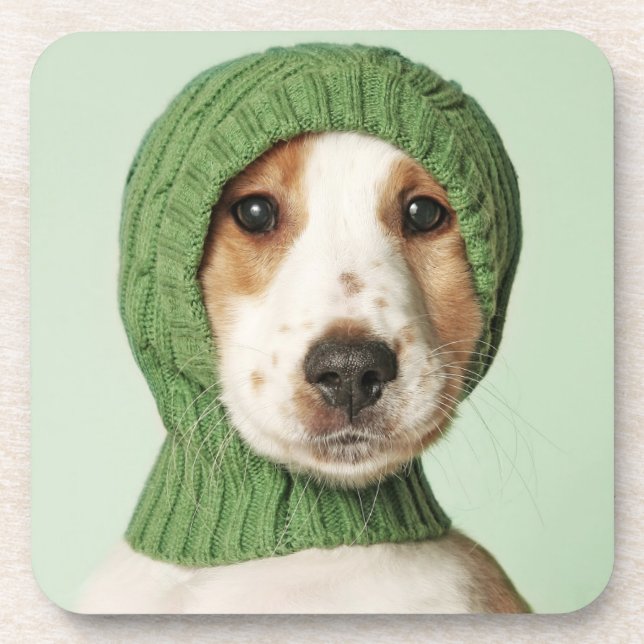 Cutest Baby Animals | Cocker Spaniel Puppy Coaster (Front)