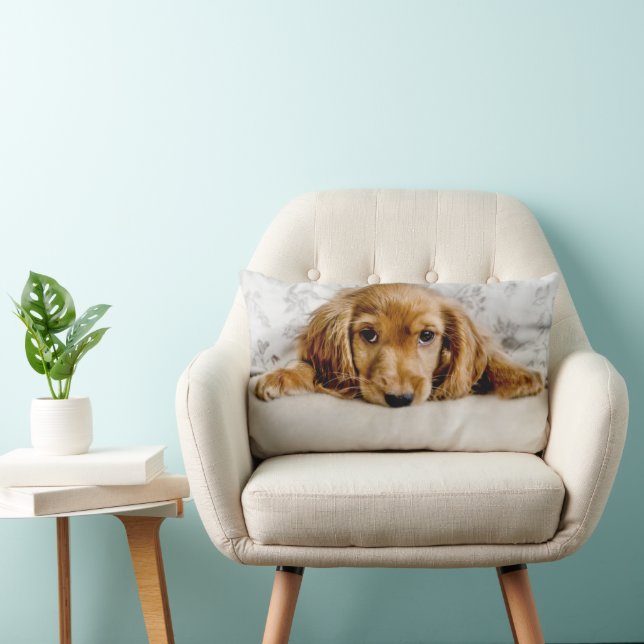 Cutest Baby Animals | Cocker Spaniel Puppy Lumbar Cushion (Chair)