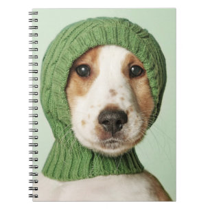 Cutest Baby Animals   Cocker Spaniel Puppy Notebook