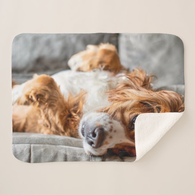 Cutest Baby Animals | Cocker Spaniel Sherpa Blanket (Front (Horizontal))