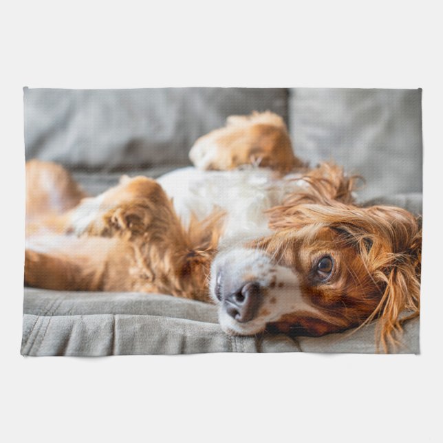 Cutest Baby Animals | Cocker Spaniel Tea Towel (Horizontal)