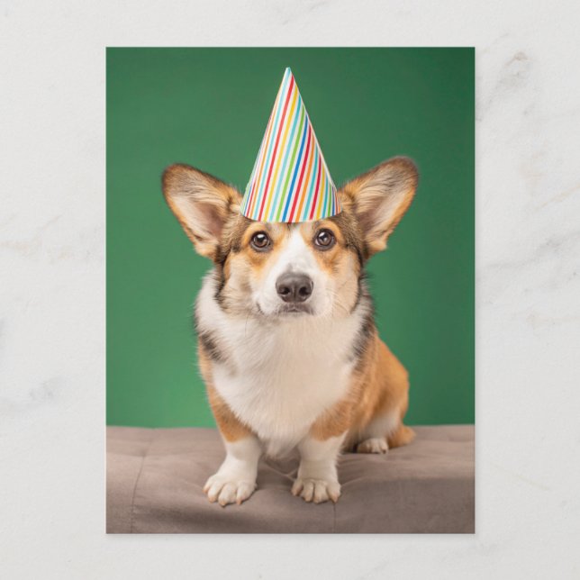 Cutest Baby Animals | Corgi Birthday Puppy Postcard (Front)