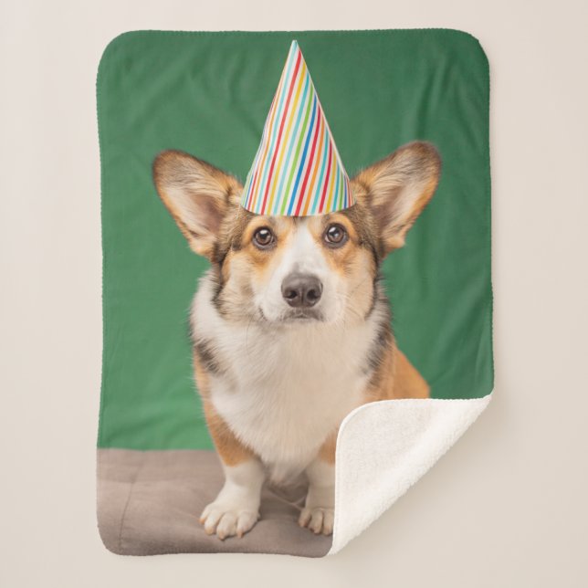 Cutest Baby Animals | Corgi Birthday Puppy Sherpa Blanket (Front)