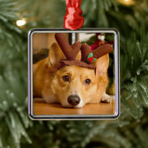 Cutest Baby Animals Corgi Christmas Reindeer Metal Tree Decoration