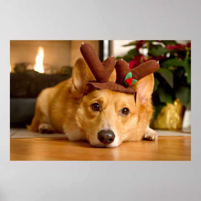 Cutest Baby Animals | Corgi Christmas Reindeer Poster (Front)