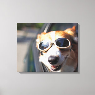 Cutest Baby Animals Corgi Goggles in the Car Canvas Print